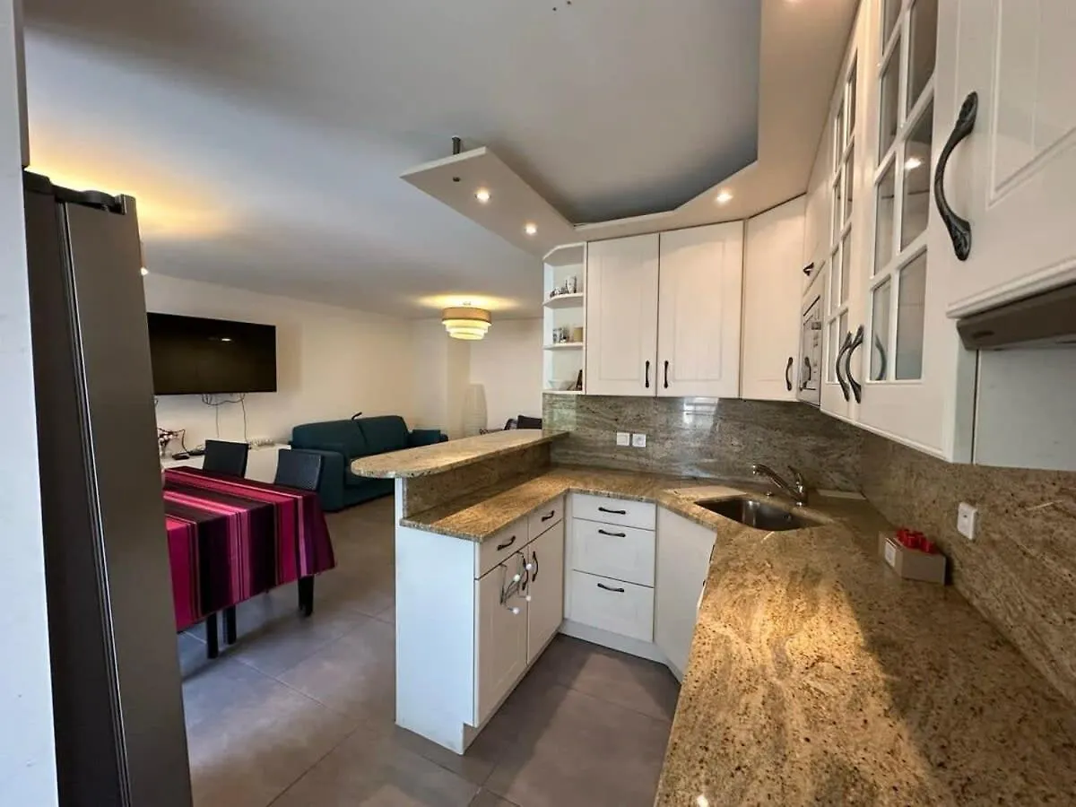 Apartment C058 Bel Appartement Spacieux Terrasse Centre Cannes
